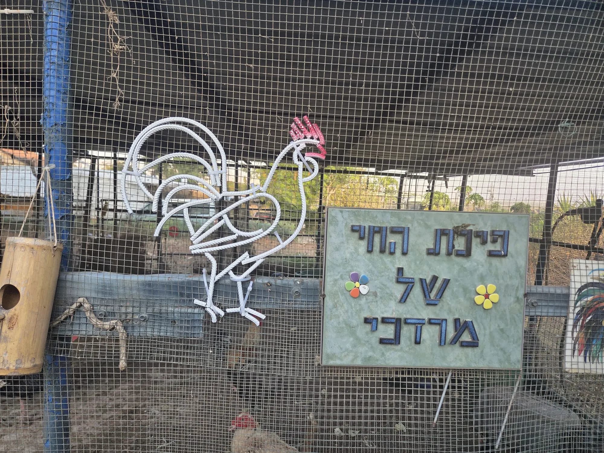 פסל תרנגול מברזל בניין צבוע לבן, מותקן על דופן הלול לצד שלט הלול
